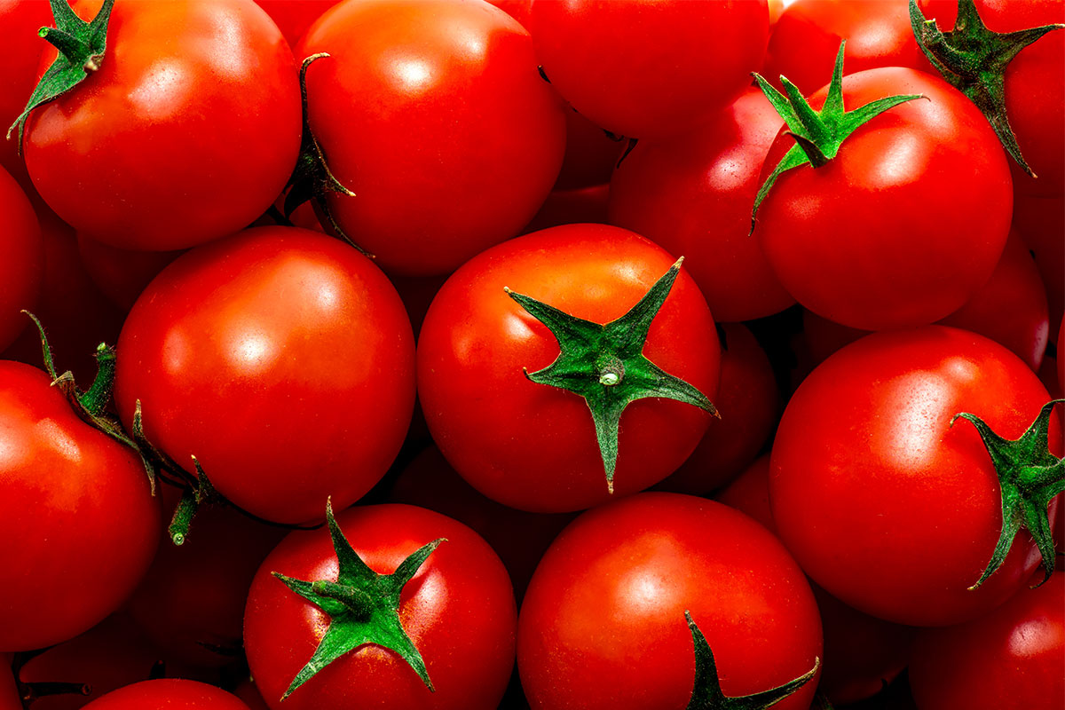 가수 김현정 한 달 만에 8kg 감량, 비결은 ‘이것’입니다